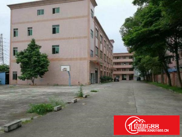 福永新和村1楼厂房500平！有地坪漆，无公摊