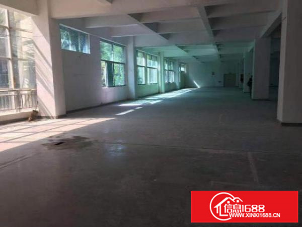 龙华区观湖街道金雄达科技园厂房招租