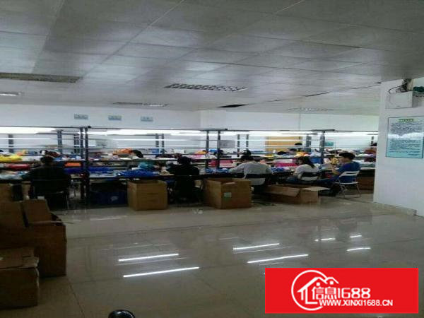 出租坪山新区坪环带装修二楼厂房500平