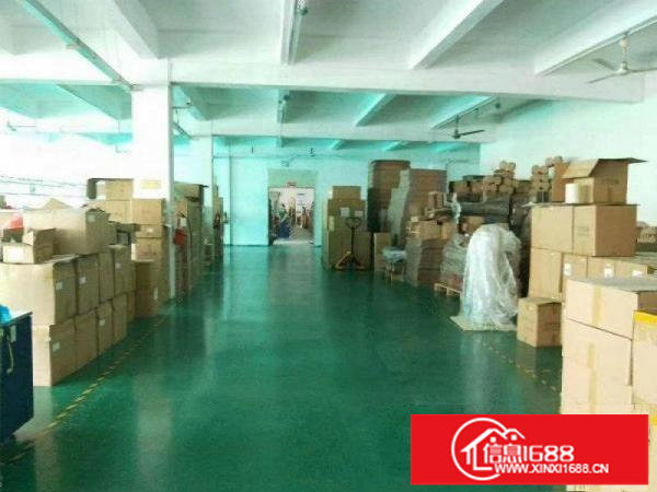 布吉楼上570平独立整层原房东厂房出租