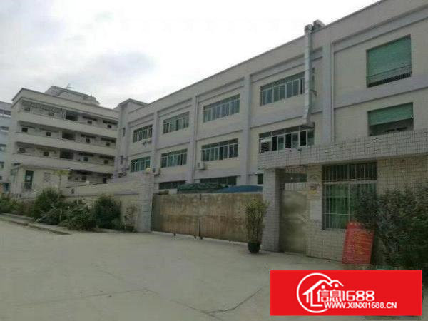 带装修独院厂房）凤岗3500平米独院厂房出租