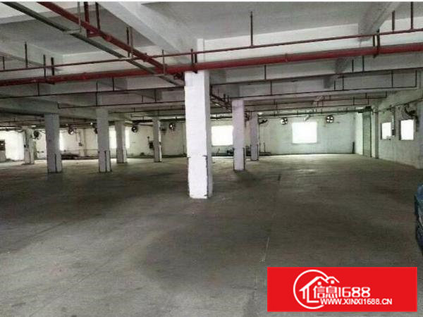 常平天鹅湖1500平方一楼出租