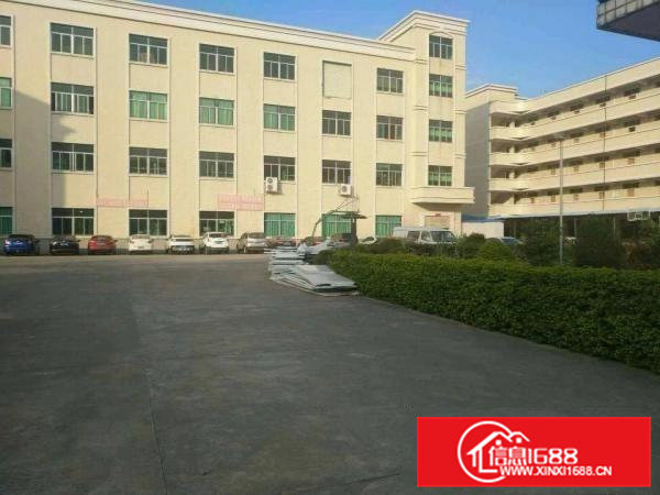 常平新出独院厂房4层6000平米出租空地超大