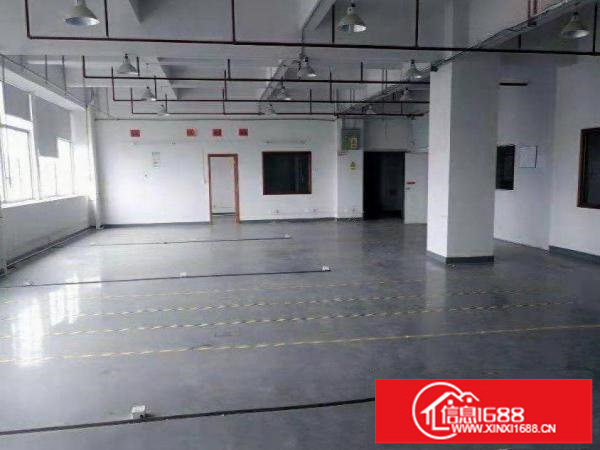 横岗茂兴路招租楼上厂房580平，有红本