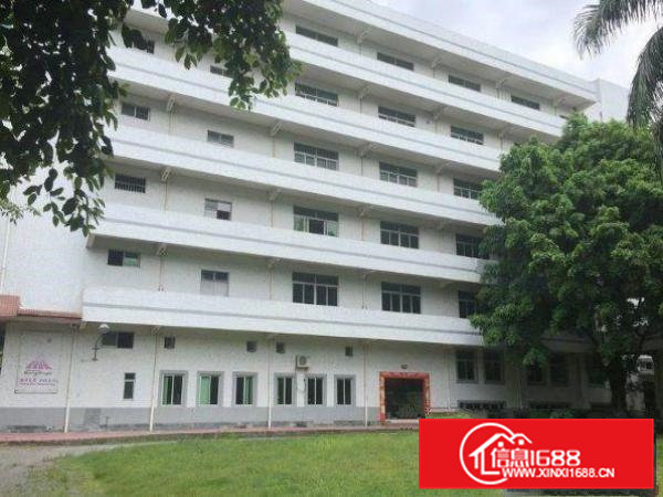 横沥田坑花园式独院厂房4500平