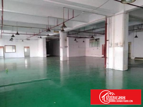 茶山下朗村厂房小两层每层950平方！可分层出租