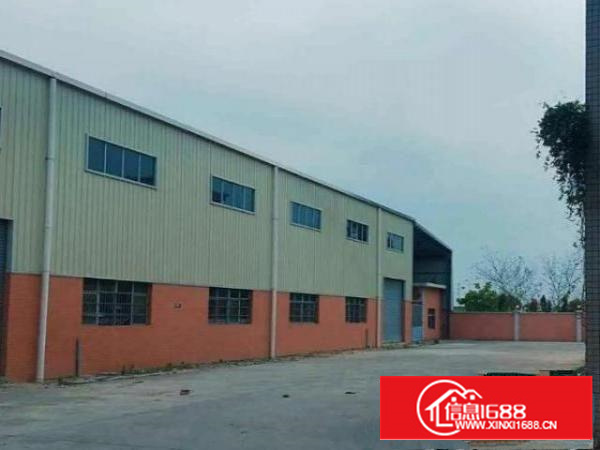 万江一楼标准厂房出租1900平，原房东高层高6