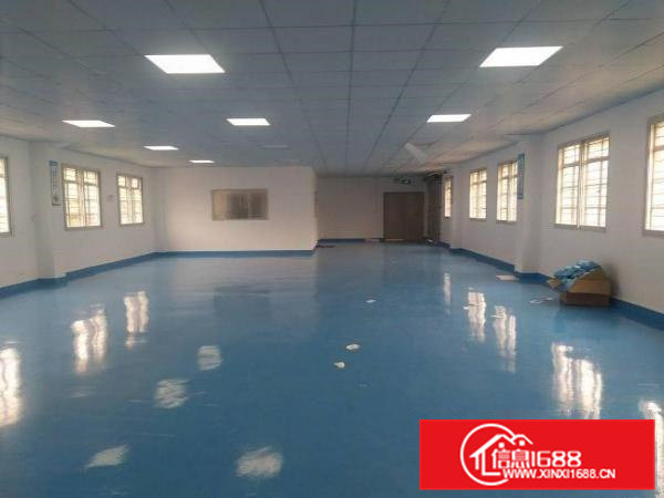 精品小独院，3楼整层600（送豪华装修）