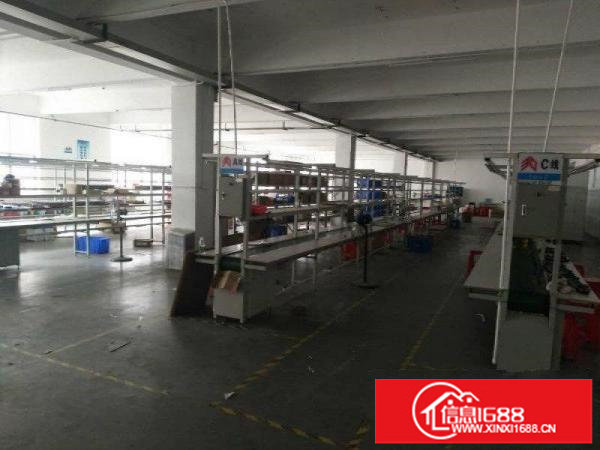 坪山坑梓全新厂房8000平方独院招租，可分租