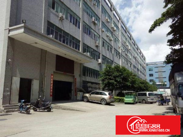 清溪谢坑工业区新出6米高一楼1100平方厂房出租