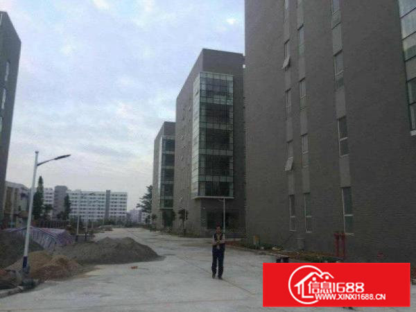 仓库大型60000平原房东直租自带卸货平台物流仓