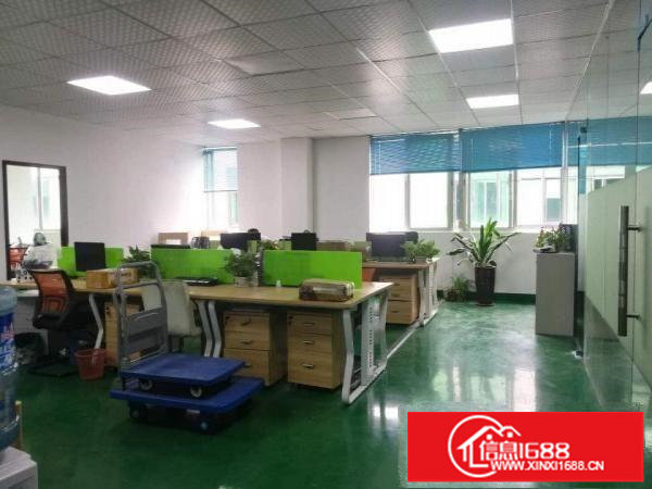 龙华大浪新百丽附近新出标准精装厂房360平出租