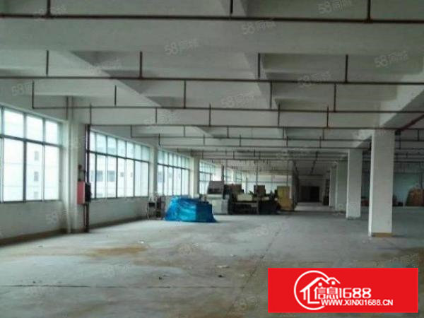 横沥原房东独院厂房分租二楼2000出租喷淋消防