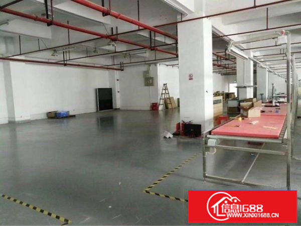 龙华观澜章坑径五和大道边精装修1500平标准厂房