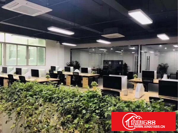 上雪工业区300平米电商办公带豪华装修