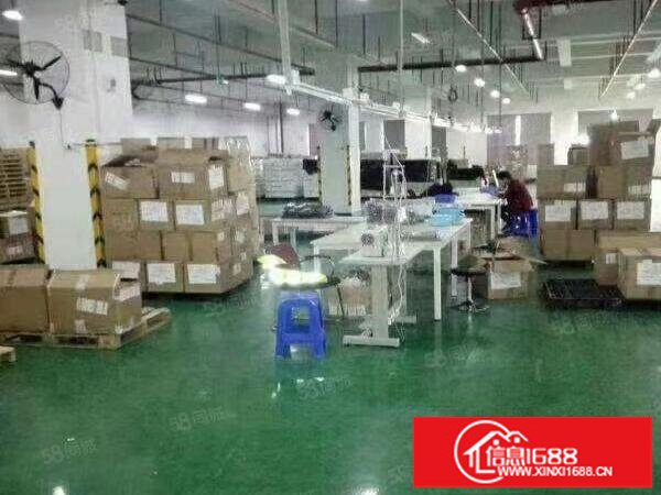 布吉上李朗新空出一楼1000平方厂房出租，带有豪华装修水电齐