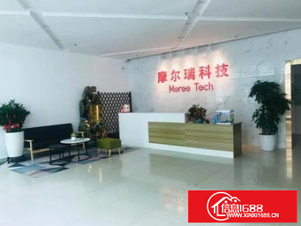 龙岗杨美地铁口180㎡/400㎡/650㎡精装办公室出租