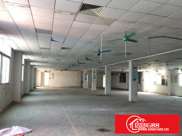 无公摊原房东常平新出原房东独门独院离高速1.2公里