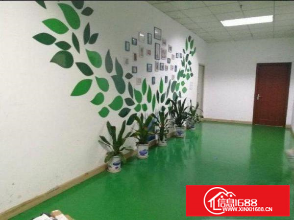 惠阳新墟10元全新1600平方出租（可做污染行业）