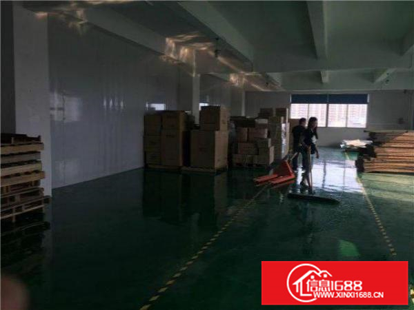 （出租）仲恺惠环市场轻轨旁500平带装修厂房招租