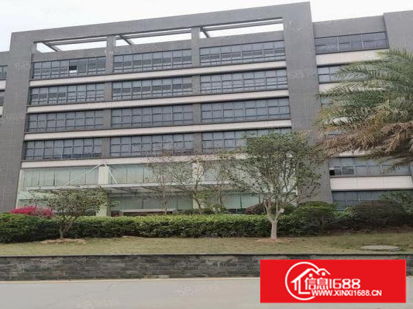 原房东直租塘厦高速出口5万平米红本厂房仓库出租，大小分租