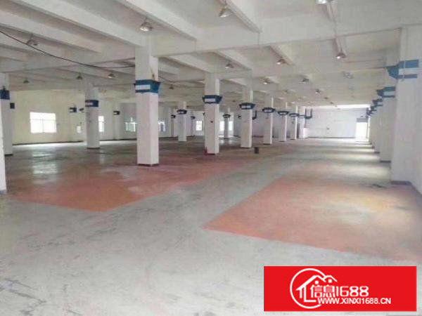 横岗华乐路独院厂房出租8600平，原房东直租，500平起分租