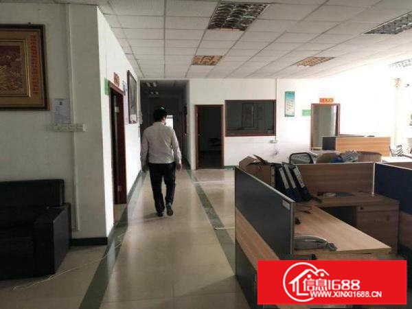 坪山石井原房东二楼厂房900平精装修出租可分租