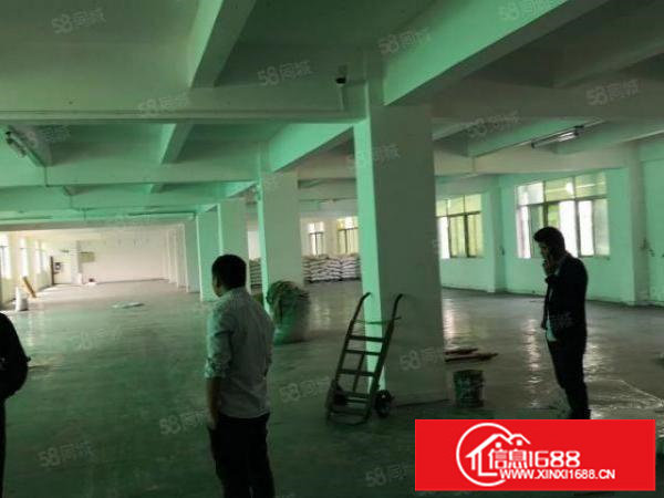 平湖富民工业区一楼1200平带消防喷淋厂房出租，六米高