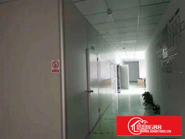 沙井共和工业区1320平线路板电路厂房出租