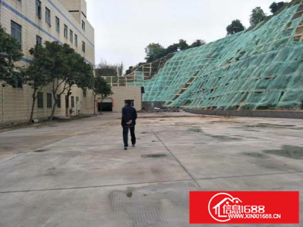 大运地铁站附近原房东独门独院厂房5800平