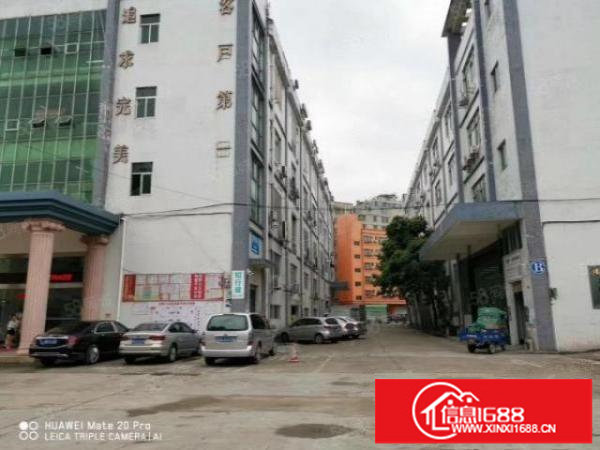 坂田带装修仓库厂房出租120平260平1000平可分租