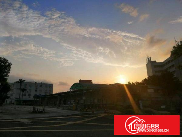 环境超好的办公环境。超大共享区域可使用,配齐办公家私