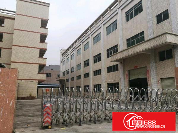 三中村成熟工业区村委厂房一楼1300平带牛脚办公室