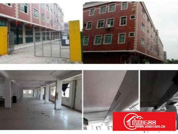 独门独院厂房招租6元/平方博罗县长宁镇金园工业区