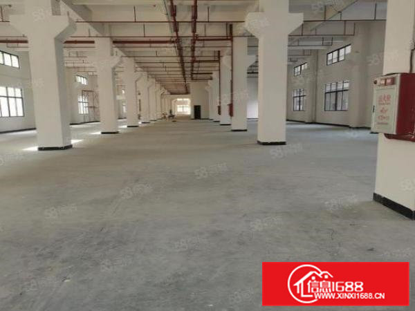 大朗镇工业聚集地独院1000平起分