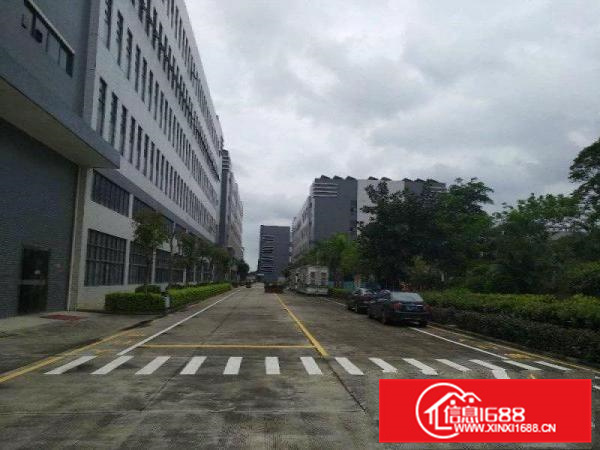 惠州市三栋镇新建10万平方标准厂房出租