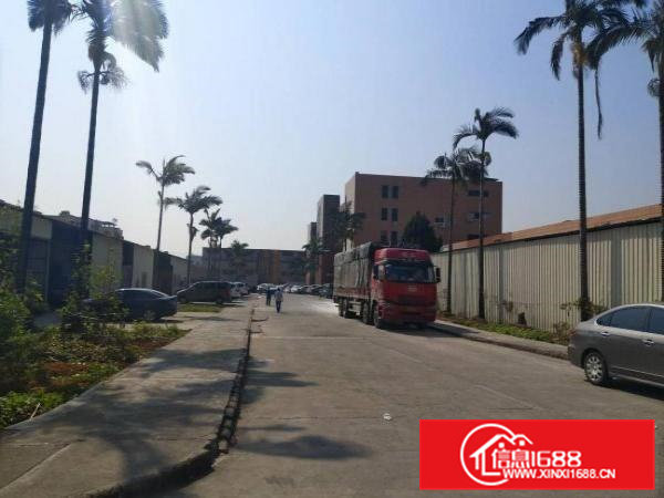 靠山边，凤岗唯一可做喷油的小面积厂房350