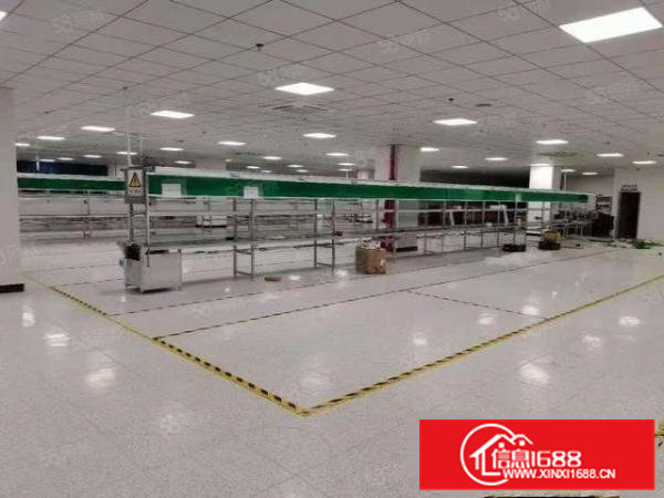 寮步2800平精装修楼厂房出租（九层新装修，无需转让费）