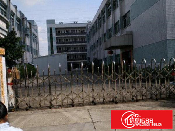 常平司马楼上1200平方带现成办公室厂房招租