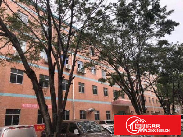 物业直租布吉丹竹头康桥花园对面工业城300平米办公电商招租