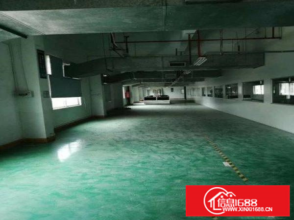 惠阳秋长50000平红本钢构厂房出租