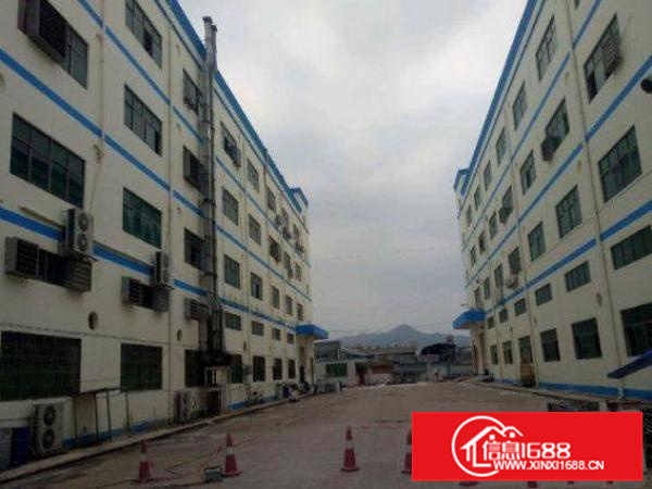 大亚湾新出靓厂房1楼2600平方滴水5米带牛角