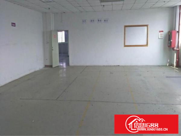 新墟24300平独院，带精装修，可做污染行业