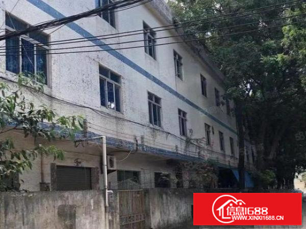 常平新出小独院2300平方米，租金便宜15元，15元，15元