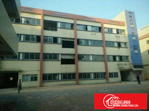 虎门南栅大面积大空地厂房7800平米出租