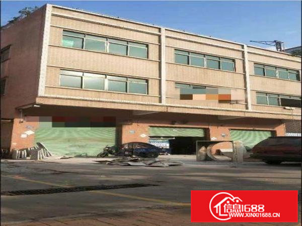 横江独栋小厂房900平方出租，带精装修