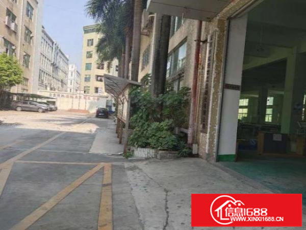 福永独院一楼2250平方可以分租