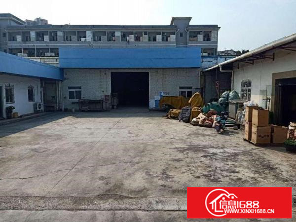 凤岗马路边上新出独院钢构厂房2500平米合适各行业7米高