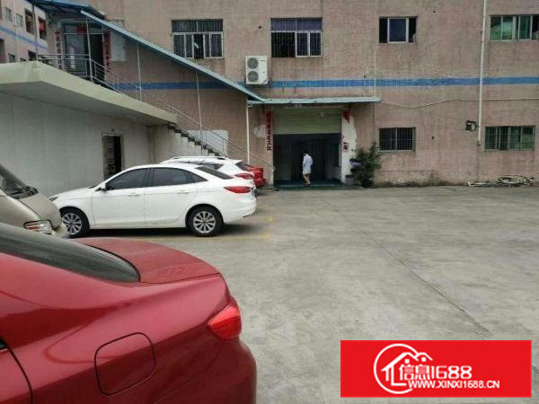 清溪罗马新出标准一楼2260平方可分租