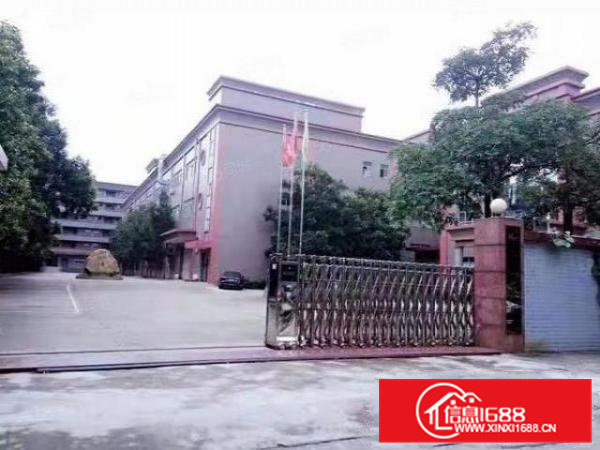 原房东）大朗花园式独院厂房13000平，可分租，工业用地